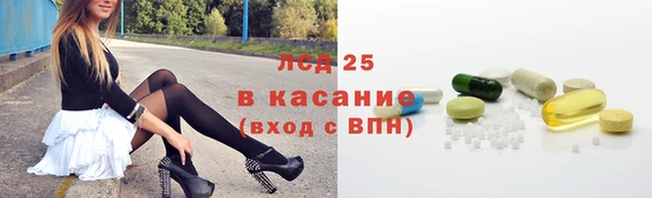 амф Бородино