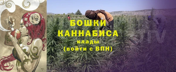 ГАЛЛЮЦИНОГЕННЫЕ ГРИБЫ Бронницы