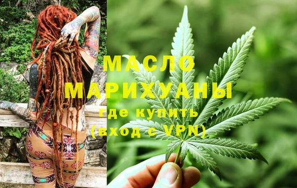 амф Бородино