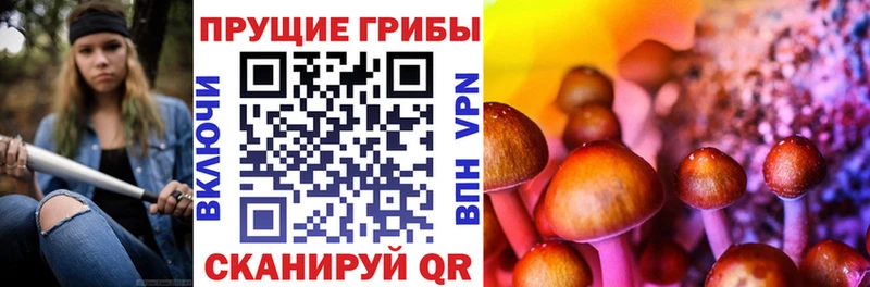 Галлюциногенные грибы MAGIC MUSHROOMS  где купить наркоту  Невельск 